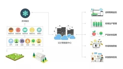 智慧農場 智能化監控與管理引領農業新變革